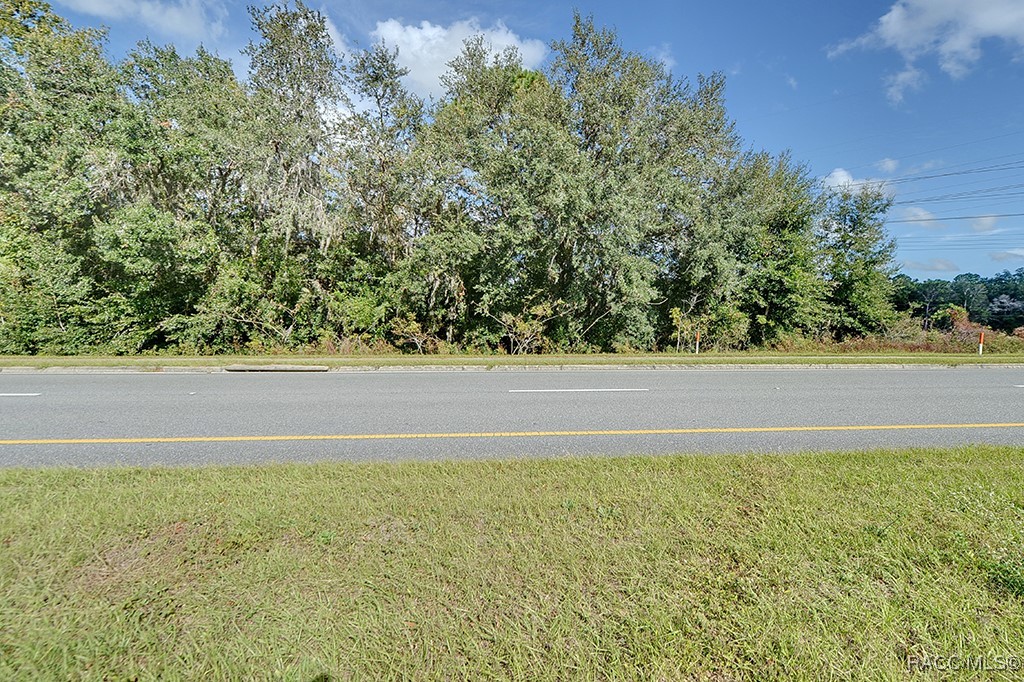 6049 W Norvell Bryant Highway, Crystal River, Florida image 1