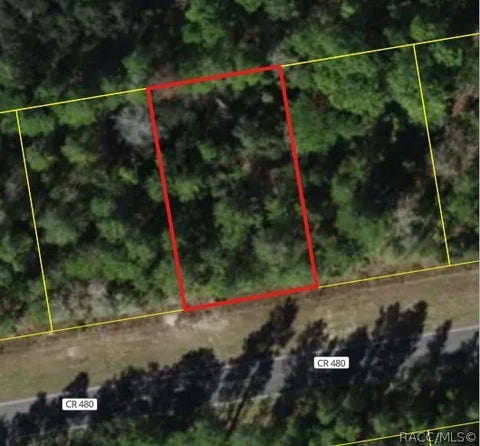 Vacant Land For Sale - 6407 W Oak Park Boulevard<br/> Homosassa, FL 34446