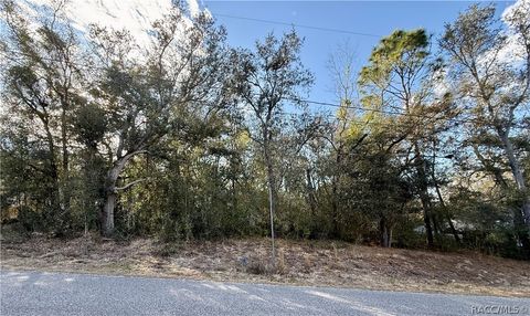 Vacant Land For Sale - 94 N West Avenue<br/> Inverness, FL 34453