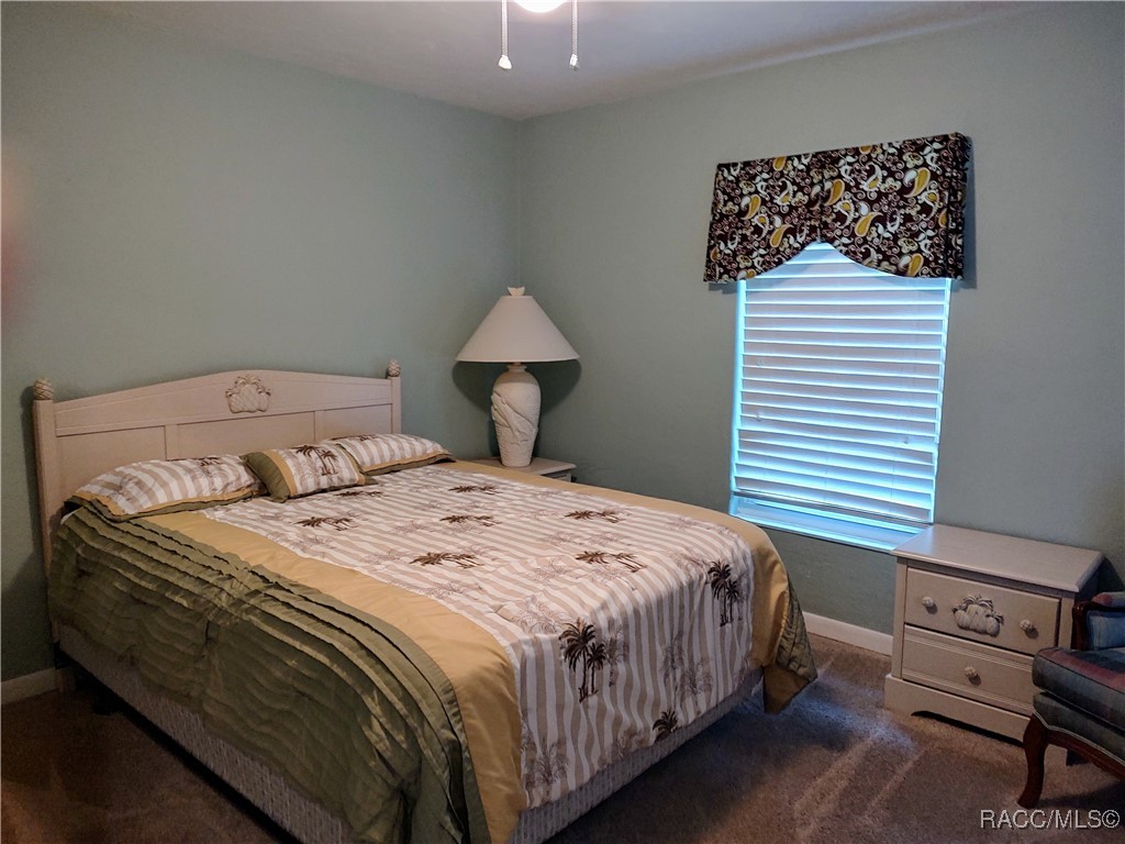 7031 S Baker Avenue, Floral City, Florida image 16