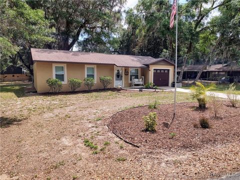 7031 S Baker Avenue Floral City FL 34436