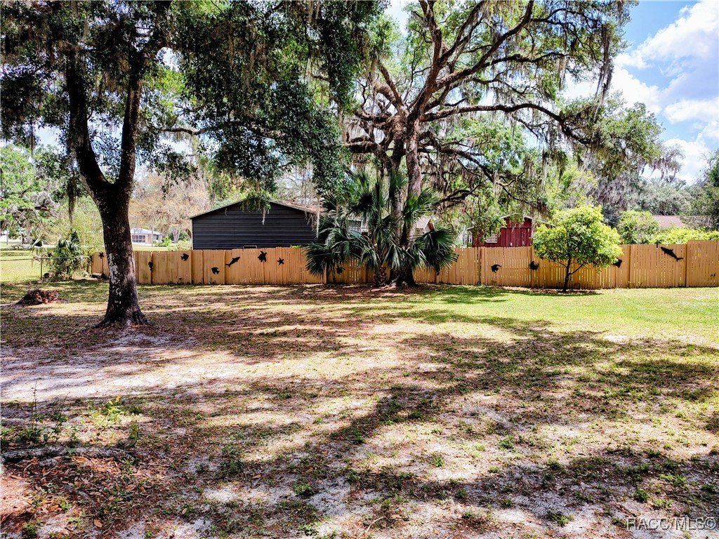 7031 S Baker Avenue, Floral City, Florida image 6