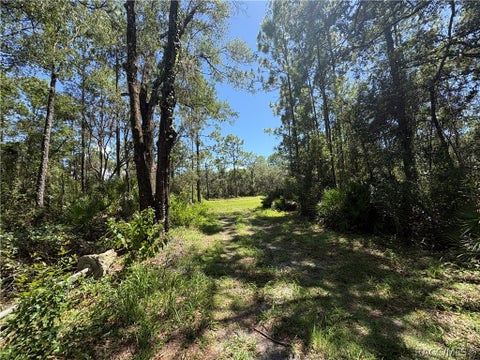 Vacant Land For Sale - 394 N Florene Point<br/> Citrus County, Crystal River, FL 34429