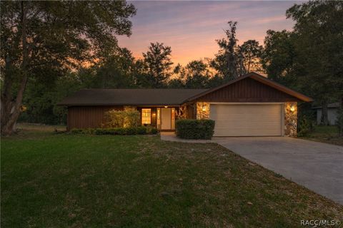 Homes For Sale - 10 Sycamore Circle<br/> Homosassa, FL 34446