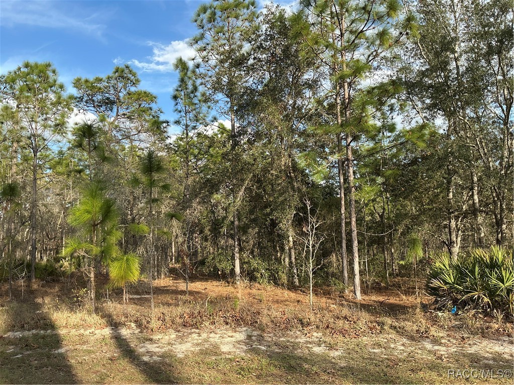 20 Nemesia Court, Homosassa, Florida image 1