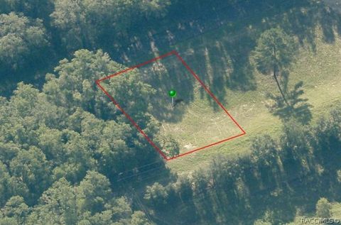 Vacant Land For Sale - 10512 N Quarry Drive<br/> Citrus Springs, FL 34434
