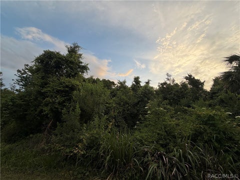Vacant Land For Sale - 1089 N Fan Palm Point<br/> Crystal River, FL 34429