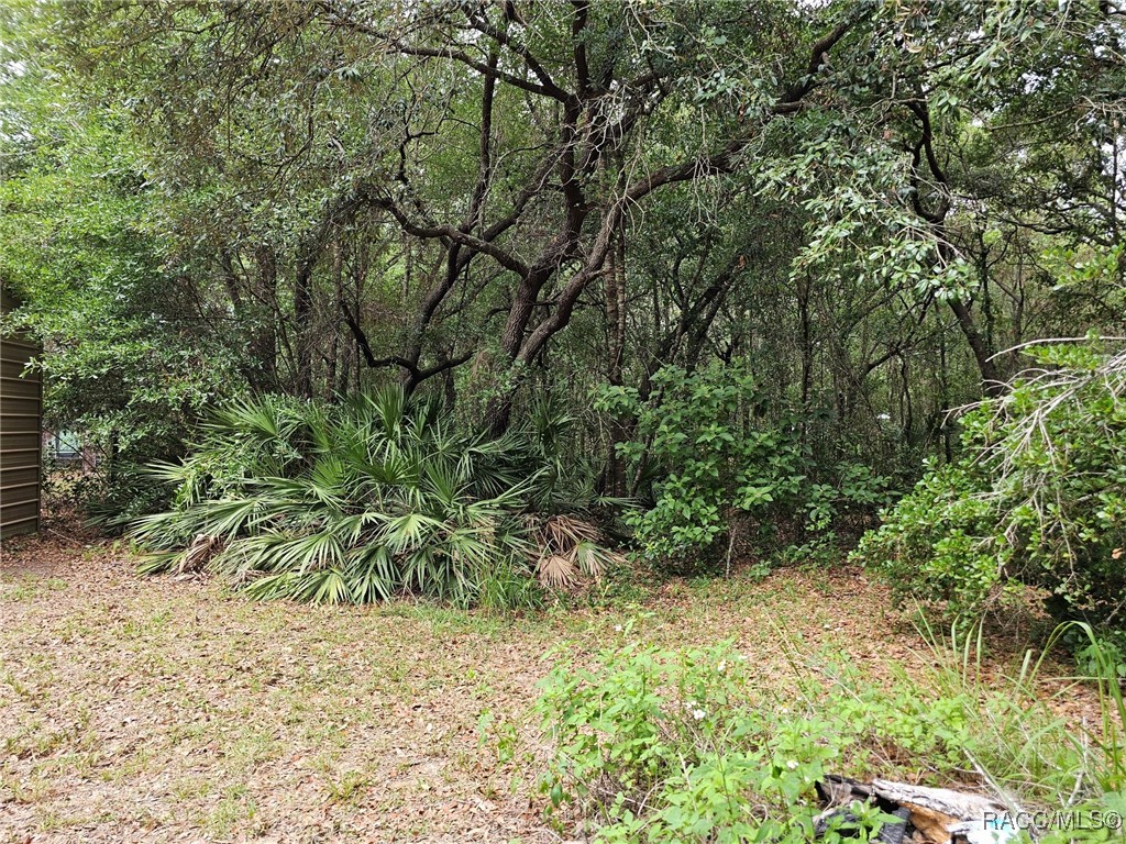 6369 W Country Club Drive, Homosassa, Florida image 21