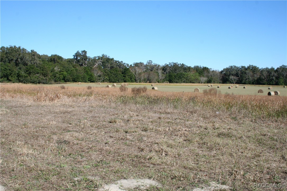 S Us Hwy 301, Summerfield, Florida image 2