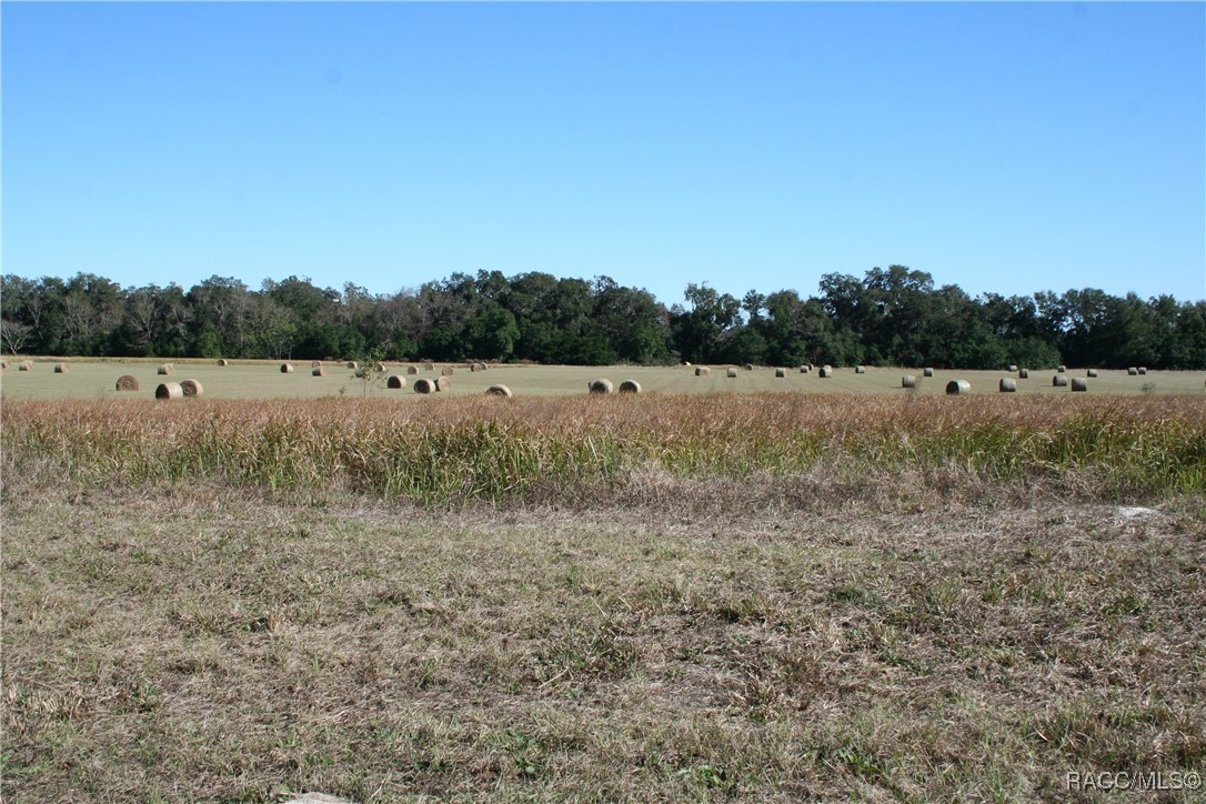 S Us Hwy 301, Summerfield, Florida image 1