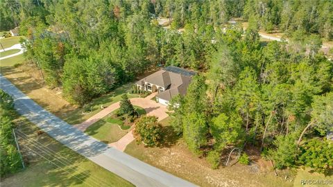 A home in Homosassa