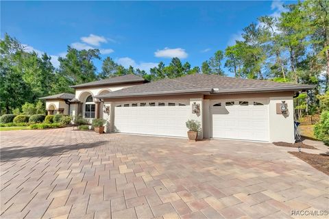 A home in Homosassa