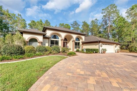 A home in Homosassa