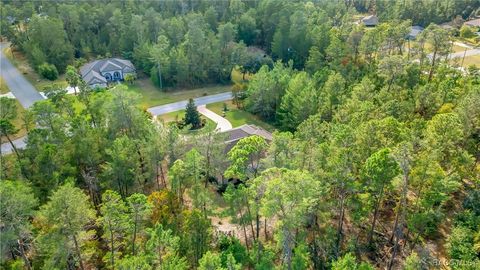 A home in Homosassa