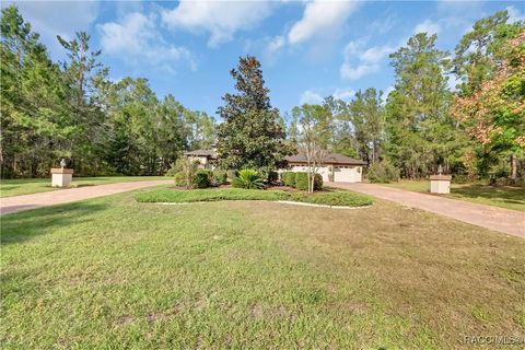 A home in Homosassa