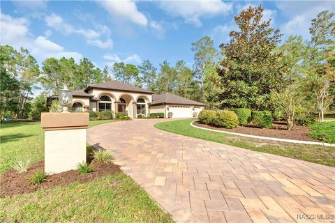 A home in Homosassa