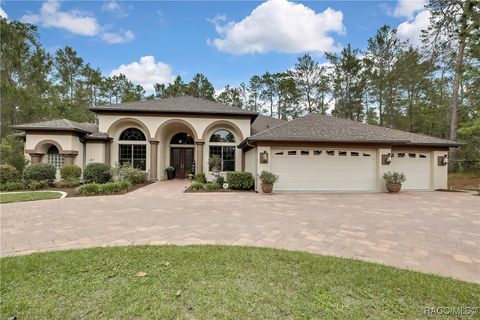 A home in Homosassa