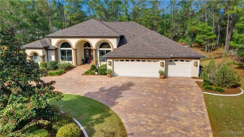 A home in Homosassa