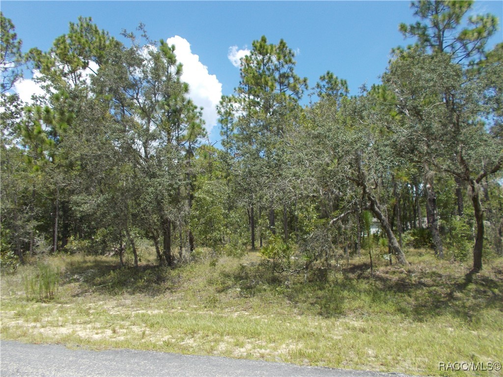 Citrus Springs, Florida 34434, United States, ,Land,Active,196048