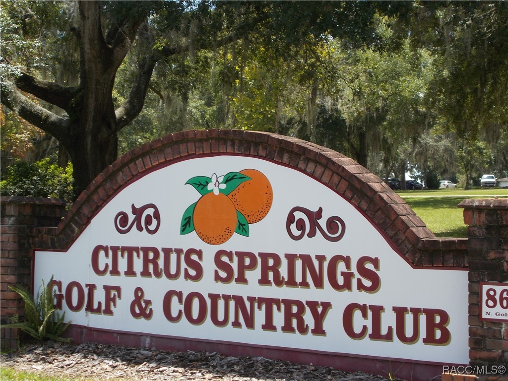 Citrus Springs, Florida 34434, United States, ,Land,Active,196048