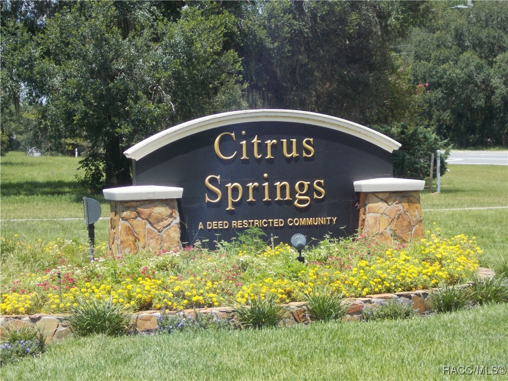 Citrus Springs, Florida 34434, United States, ,Land,Active,196048
