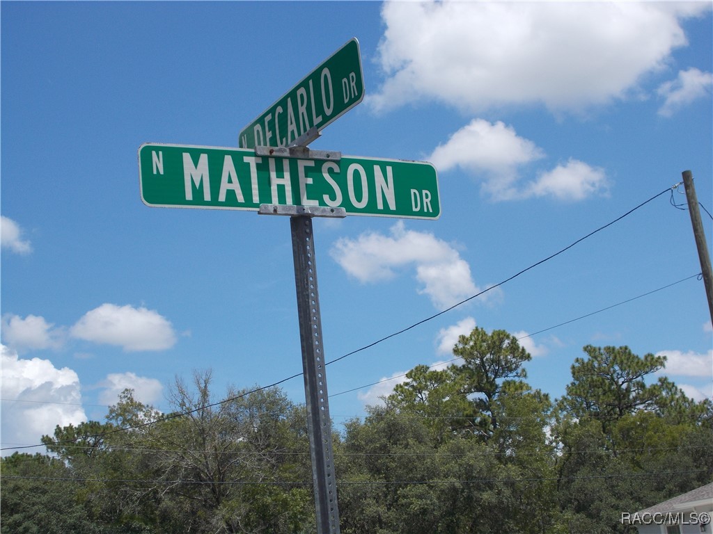 Citrus Springs, Florida 34434, United States, ,Land,Active,196048