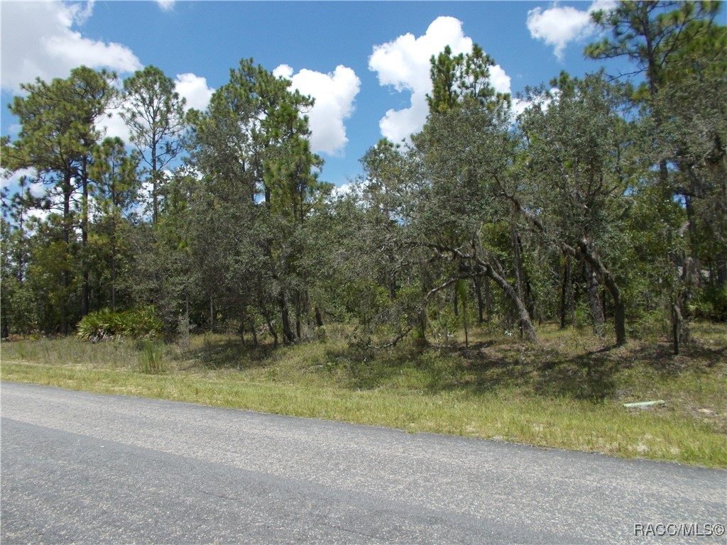 Citrus Springs, Florida 34434, United States, ,Land,Active,196048