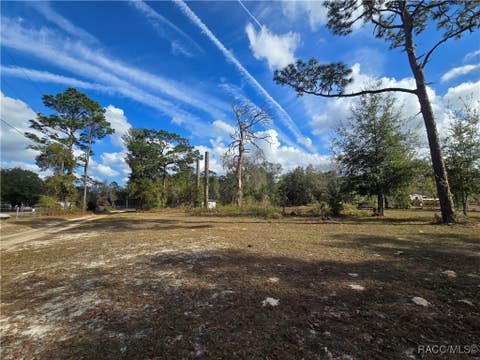 Vacant Land For Sale - 4610 N Ellen Point<br/> Crystal River, FL 34428