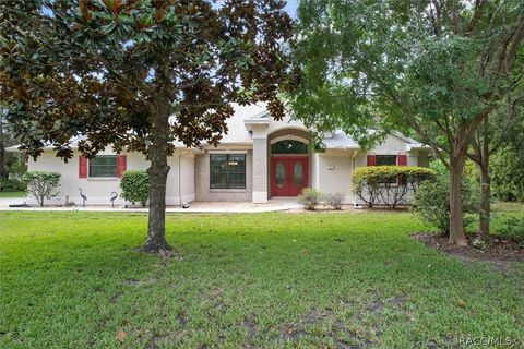 A home in Homosassa