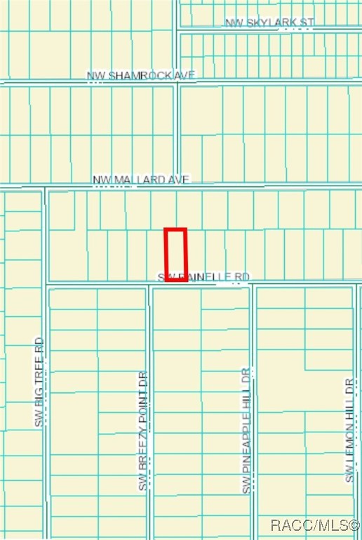 Lot 20 Sw Rainelle Road, Dunnellon, Florida image 1