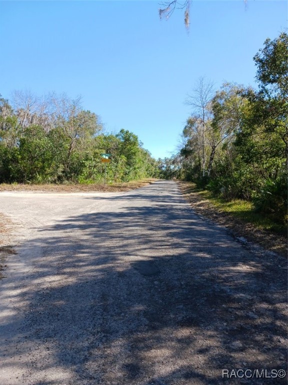 1361 N Point Lonesome Road, Inverness, Florida image 4