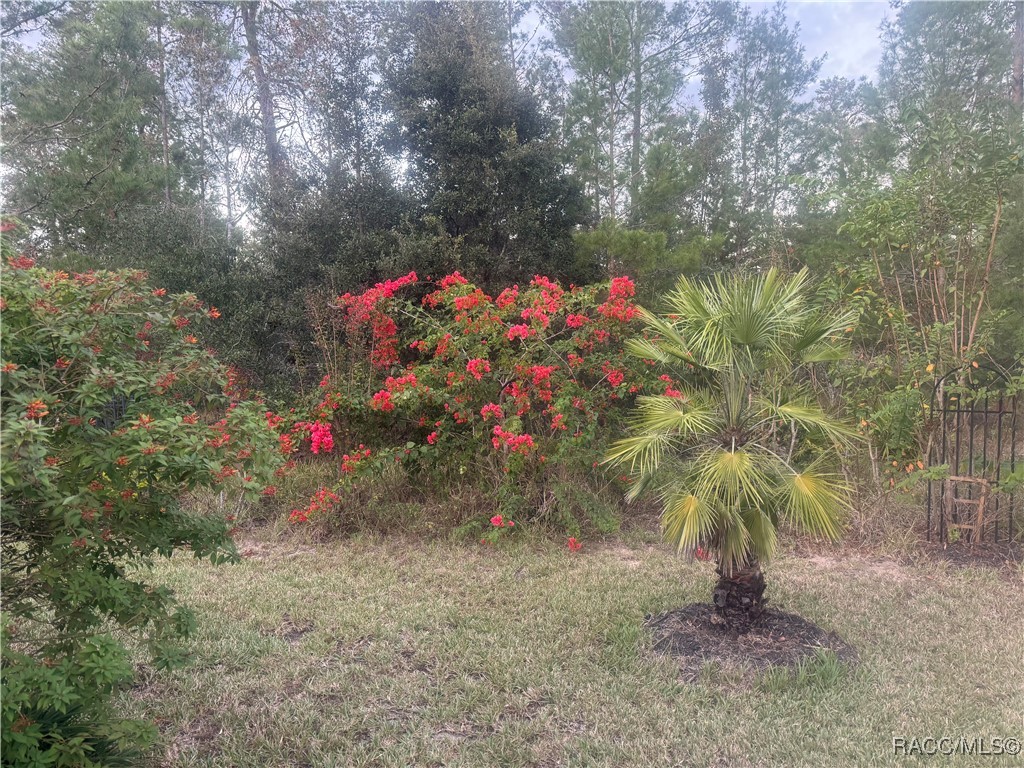 9 Geranium Court, Homosassa, Florida image 45