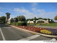 3201 N Canterbury Lake Drive, Hernando, Florida image 15