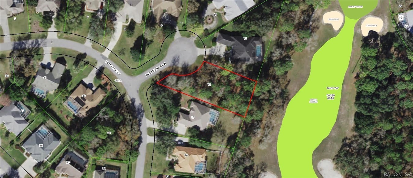 2 Shortleaf Court, Homosassa, Florida image 1