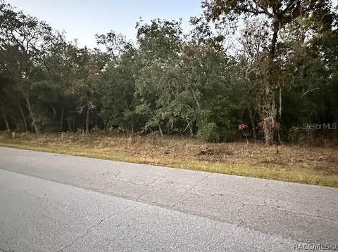 Vacant Land For Sale - 861 W Olympia Street<br/> Citrus County, Hernando, FL 34442