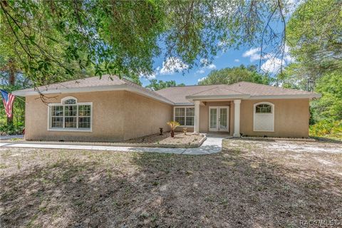 Homes For Sale - 12684 W Crystalview Lane<br/> Citrus County, Crystal River, FL 34428
