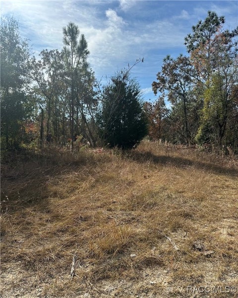 Vacant Land For Sale - LOT 2 Ne 151st Terrace<br/> Levy County, Williston, FL 32696