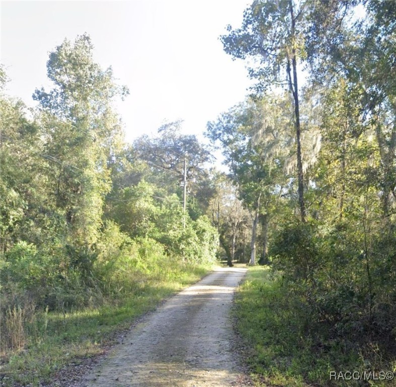 LOT 60 & 61 Barth Drive, Dade City, Florida image 2