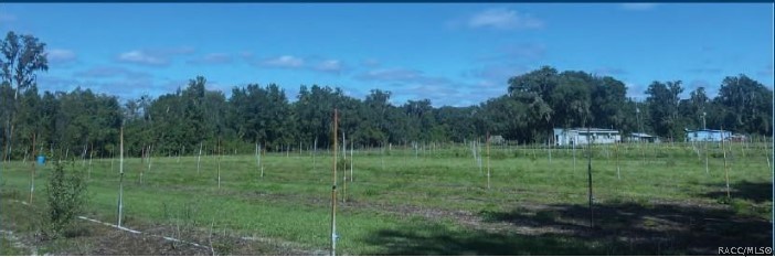 9333 E Bushnell Road