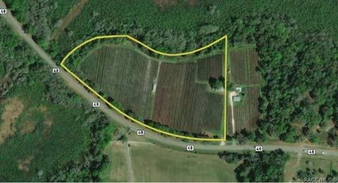 Vacant Land For Sale - 9333 E Bushnell Road<br/> Floral City, FL 34436