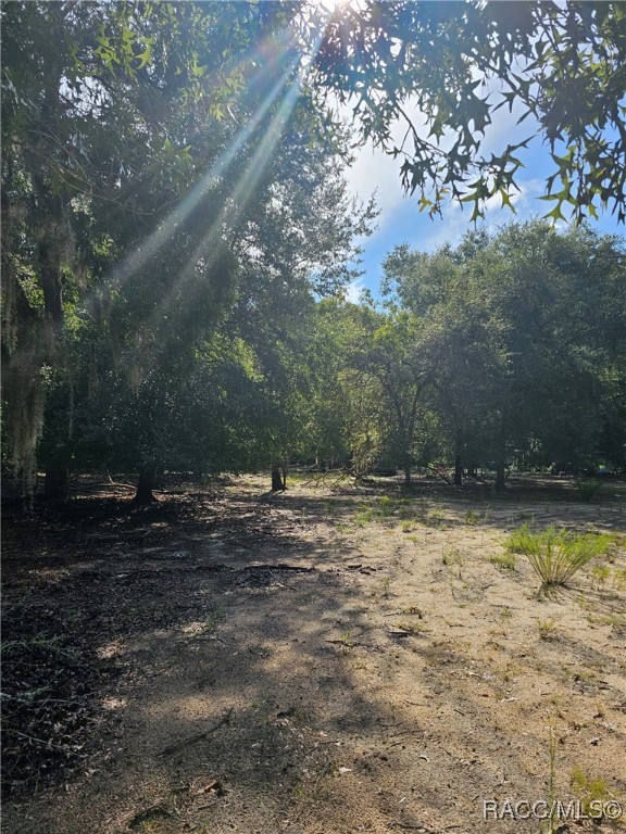 12089 Oakview Avenue S