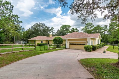 4420 N Shawnee Drive Beverly Hills FL 34465