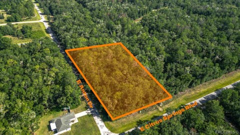 Vacant Land For Sale - 825 E Anton Drive<br/> Citrus Springs, FL 34434