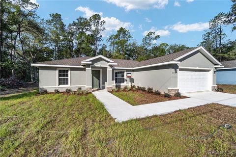 A home in Citrus Springs