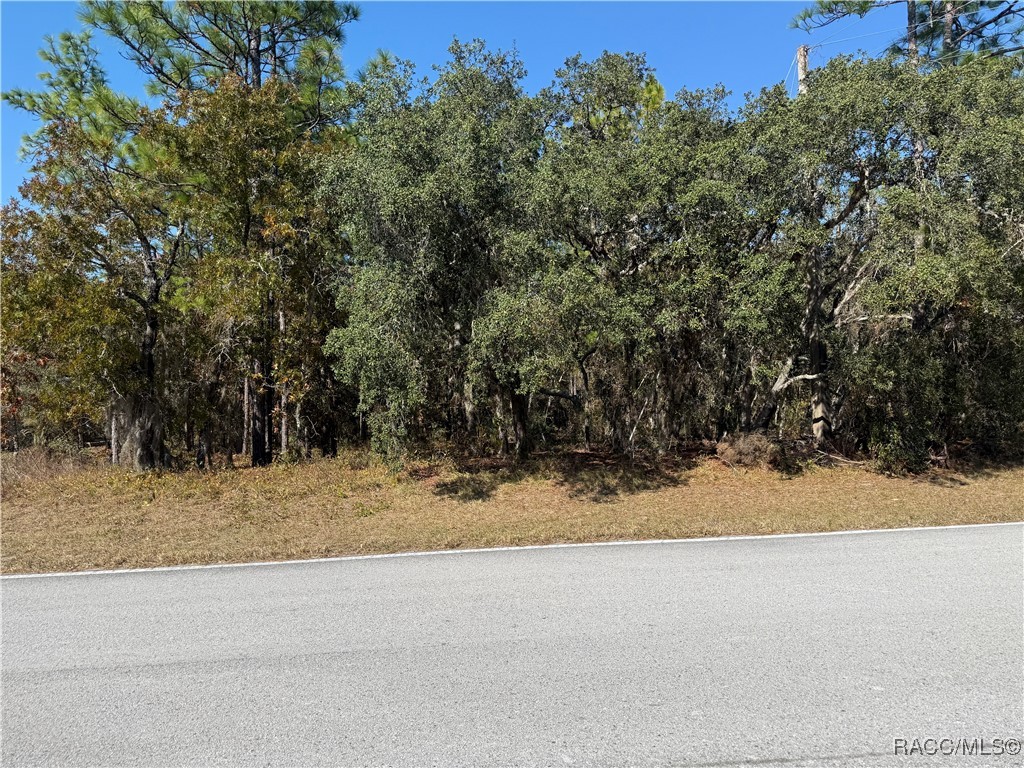 Photo 1 of 7 — 143 Cypress Boulevard E, Homosassa, FL 34446