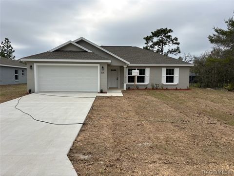 Homes For Sale - 6656 N Roland Drive<br/> Dunnellon, FL 34433