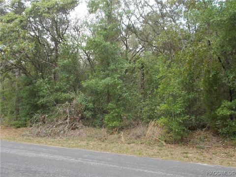 8 S EASY Street Lecanto FL 34461