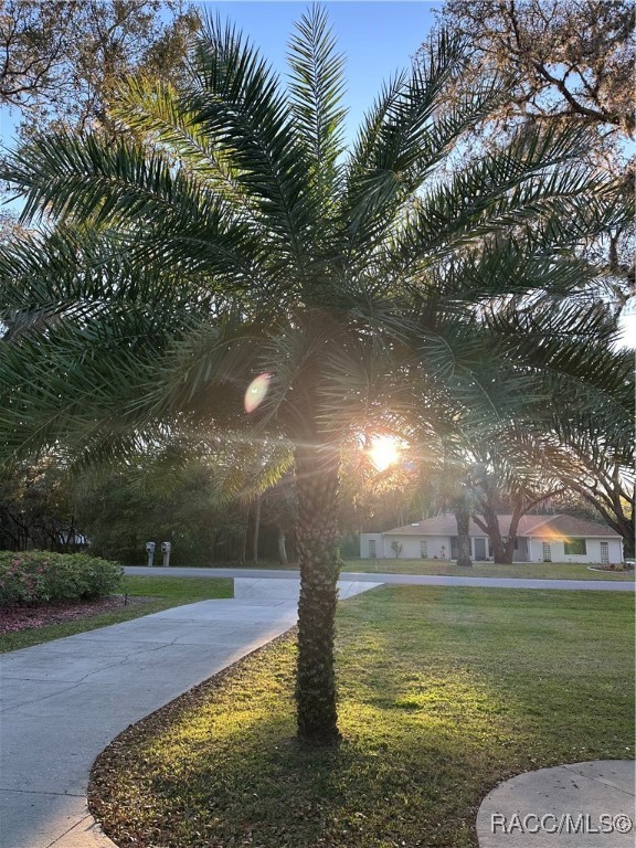 509 N Fresno Avenue, Hernando, Florida image 16