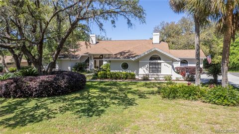 A home in Hernando