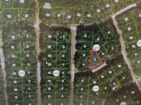 Vacant Land For Sale - 431 E Marlow Place<br/> Dunnellon, FL 34434